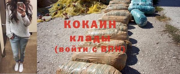 хмурый Новозыбков