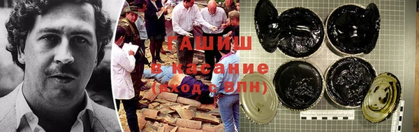 гидропоника Алзамай