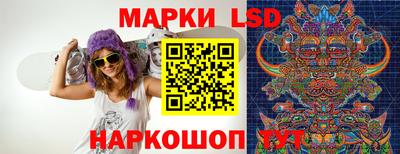 шишки Шелехов