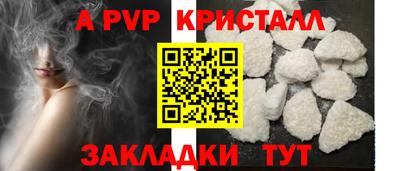 шишки Шелехов