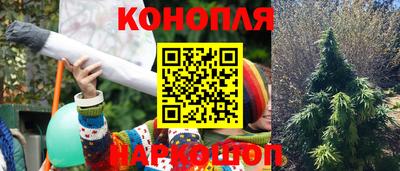 шишки Шелехов