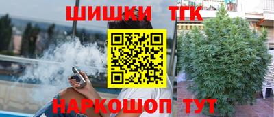 шишки Шелехов