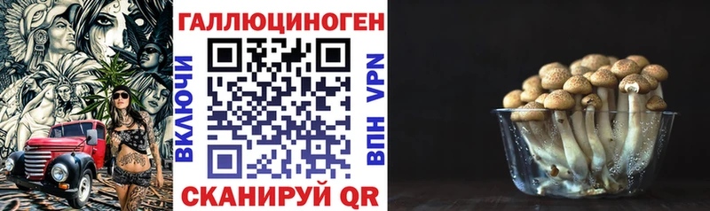 блэк спрут зеркало  Саров  Галлюциногенные грибы Magic Shrooms 