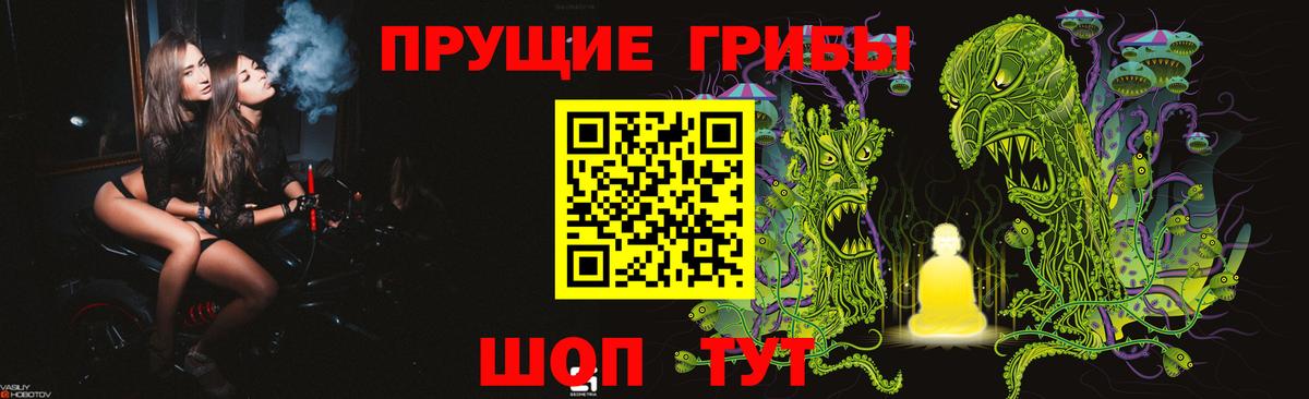 Псилоцибиновые грибы мицелий Саров